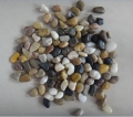 Pedra do seixo polido/natural de cores mistas